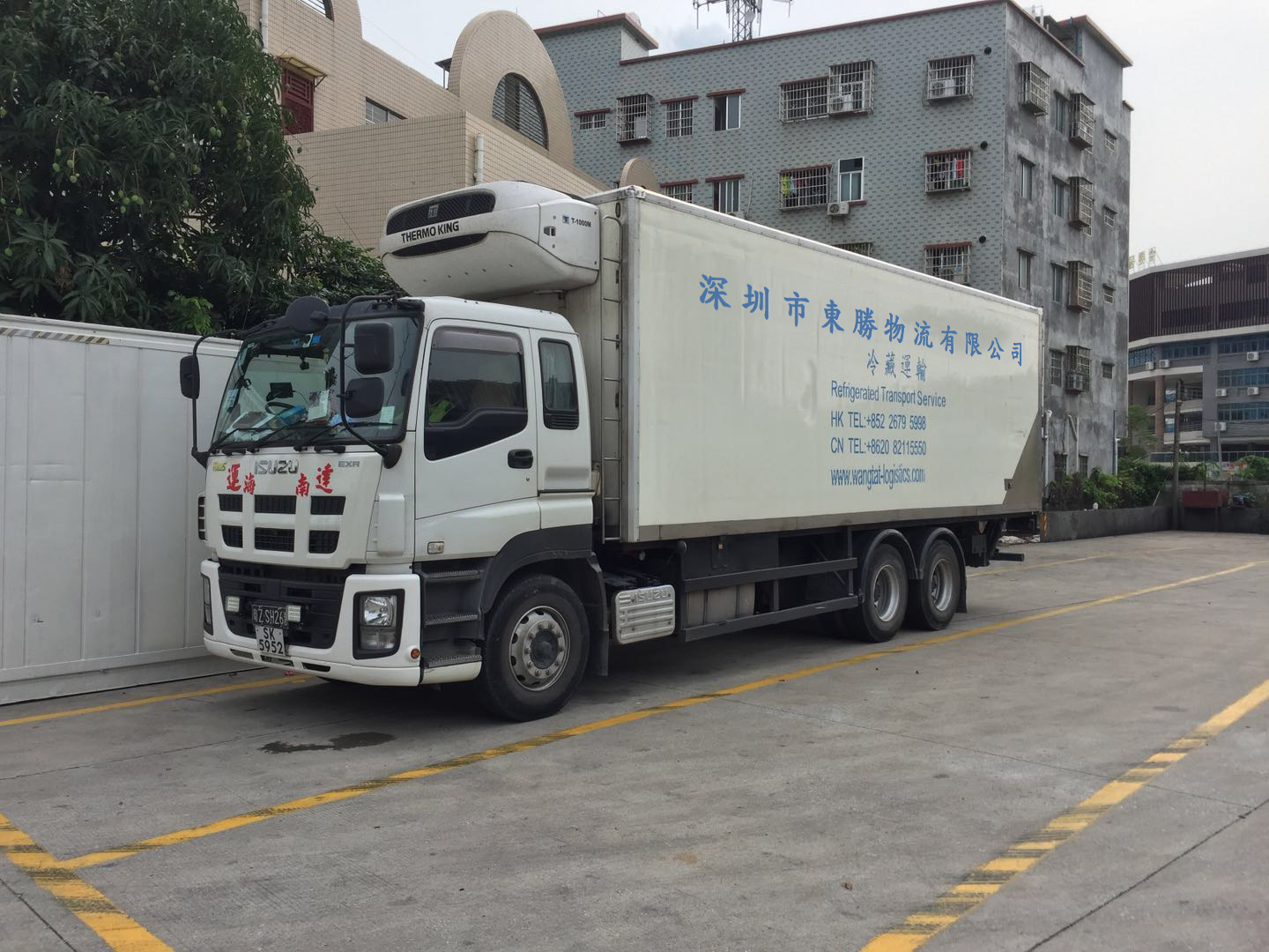 中港冷藏车,香港冷冻柜,香港冷链物流专线运输案例图